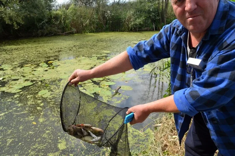Otwarte zawody spławikowe za nami (zdjęcia)