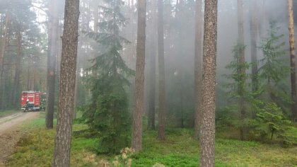 Ostrów Mazowiecka - W Wykrocie (gm. Myszyniec) w pobliżu Kurpiowskiej Krainy pon