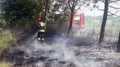 Ostrów Mazowiecka - Dwukrotnie minionej doby interweniowali strażacy z powiatu o