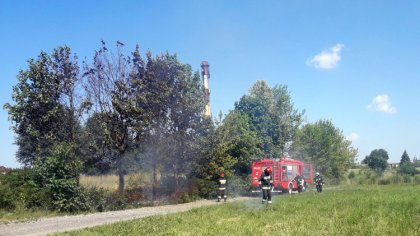 Ostrów Mazowiecka - Do kolejnego pożaru doszło przy ul. Lipowej w Podborzu. Tym 