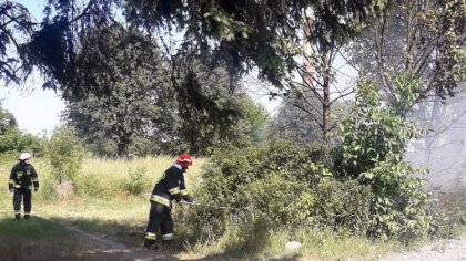 Ostrów Mazowiecka - Około godziny 15 w sobotnie popołudnie ostrowscy strażacy ot