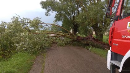 Ostrów Mazowiecka - Silne opady deszczu i porywisty wiatr przeszły nad terenem p