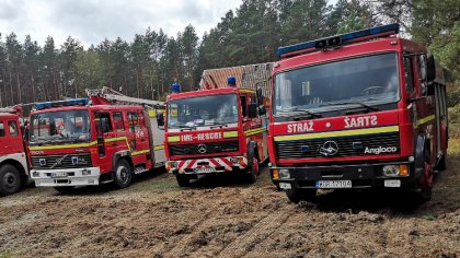 Ostrów Mazowiecka - Gminni strażacy z jednostek OSP w piątek około godziny 10.00