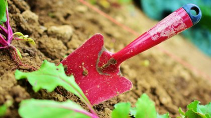 Ostrów Mazowiecka - Filia Wojewódzkiego Urzędu Pracy w Ostrołęce informuje o rea