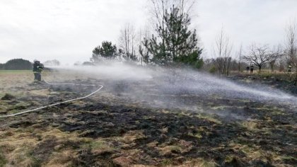 Ostrów Mazowiecka - Do kolejnego pożaru traw doszło w powiecie ostrowskim. Tym r