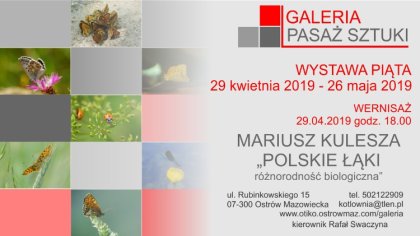 Ostrów Mazowiecka - Ostrowska galeria Pasaż Sztuki zaprasza na kolejną wystawę. 