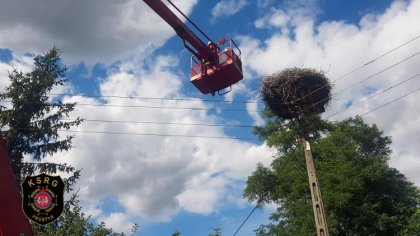 Ostrów Mazowiecka - Strażacy z OSP Prostyń i OSP Małkinia Górna pomogli troskliw