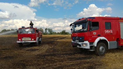 Ostrów Mazowiecka - Około godziny 15.00 jednostka OSP z Zarąb Kościelnych został