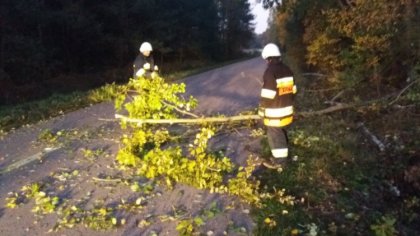 Ostrów Mazowiecka - Kolejna interwencja strażaków z OSP Boguty-Pianki dotycząca 