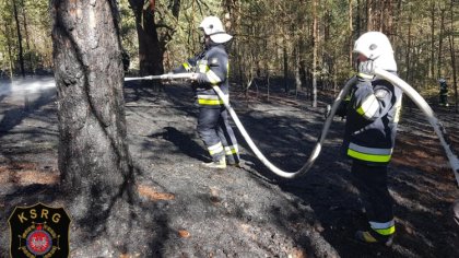 Ostrów Mazowiecka - Od wielu dni utrzymująca się susza zwiększa prawdopodobieńst