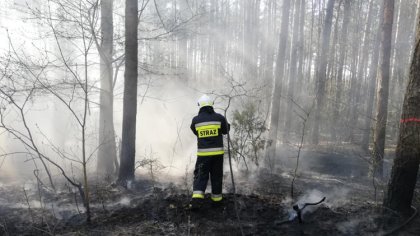 Ostrów Mazowiecka - W ostatnich tygodniach na ternie powiatu ostrowskiego doszło