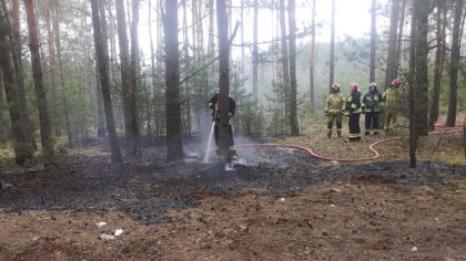 Ostrów Mazowiecka - We wtorek 14 kwietnia około godziny 18 w miejscowości Komoro