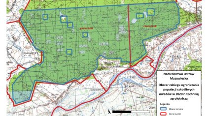 Ostrów Mazowiecka - Nadleśnictwo Ostrów Mazowiecka podjęło decyzję w sprawie wyk