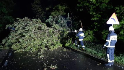 Ostrów Mazowiecka - W sobotę 30 maja br. około godz. 22.00 powalone drzewo zablo