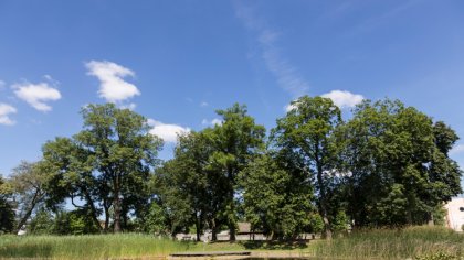 Ostrów Mazowiecka - IMGW dla powiatu ostrowskiego wydał alert pogodowy drugiego 