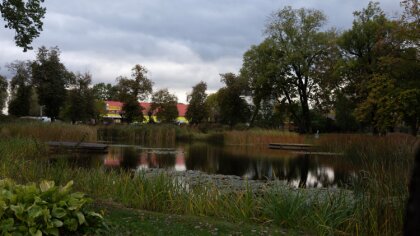 Ostrów Mazowiecka - W czwartek pogodnie, zachmurzenie małe i umiarkowane, wzrast