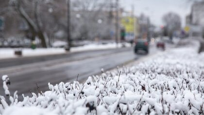 Ostrów Mazowiecka - Instytut Meteorologii i Gospodarki Wodnej wydał ostrzeżenie 