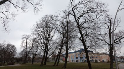 Ostrów Mazowiecka - Czwartek będzie pochmurny z opadami deszczu i deszczu ze śni