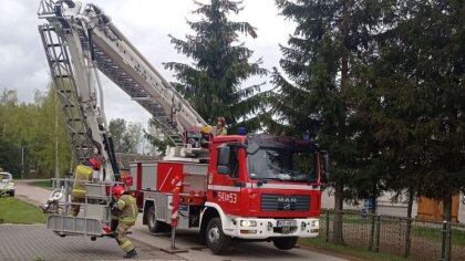 Ostrów Mazowiecka - Praca strażaka to bardzo często praca różnorodna. Przekonali