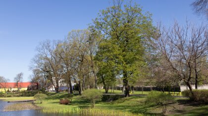 Ostrów Mazowiecka - W najbliższych dniach należy spodziewać się burz. Wyładowani