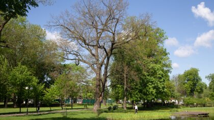 Ostrów Mazowiecka - Czwartek zapowiada się słonecznie i bardzo ciepło, a miejsca