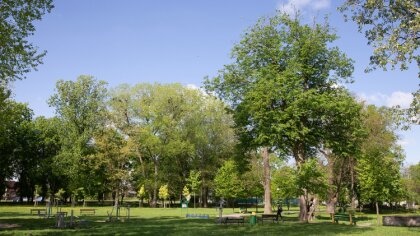 Ostrów Mazowiecka - Zachmurzenie małe i umiarkowane. Na krańcach zachodnich (Dol