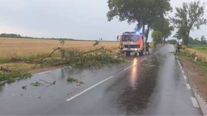 Ostrów Mazowiecka - We wtorek 13 lipca strażacy z Ochotniczej Straży Pożarnej w 