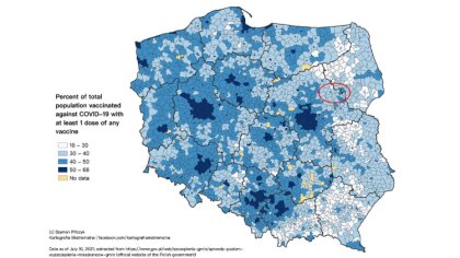 Ostrów Mazowiecka - W sieci przedstawiono interaktywną mapę, na której widać, że