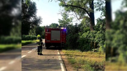 Ostrów Mazowiecka - Strażacy usuwają skutki po przejściu silnego wiatru na teren