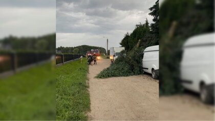 Ostrów Mazowiecka - Spadające drzewo po przejściu burzy zerwało linie elektryczn