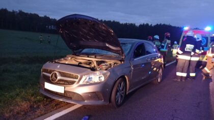 Ostrów Mazowiecka - Do zderzenia z dziką zwierzyną doszło we wtorek 14 września 