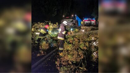 Ostrów Mazowiecka - Po przejściu silnego wiatru strażacy zostali zadysponowani w