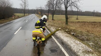 Ostrów Mazowiecka - Strażacy z OSP w Broku zostali zadysponowani do usunięcia sz