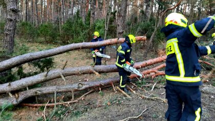 Ostrów Mazowiecka - Ochotnicza Straż Pożarna w Bogutach-Piankach usuwała skutki 