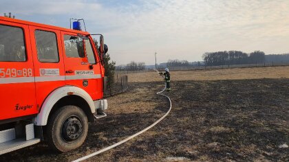 Ostrów Mazowiecka - Do zdarzenia zadysponowana została Ochotnicza Straż Pożarna 