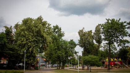 Ostrów Mazowiecka - W nadchodzących dniach czeka nas zmienna aura, zarówno pogod