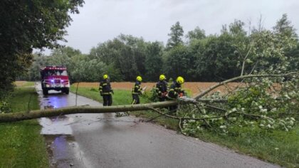 Ostrów Mazowiecka - Ochotnicza Straż Pożarna w Bogutach-Piankach została zadyspo