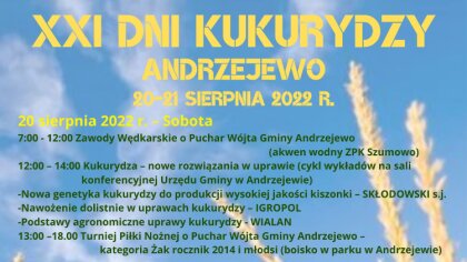 Ostrów Mazowiecka - Zespół Kometa, MeGustar i DEJW, który został gwiazdą wieczor