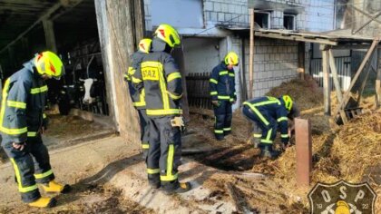 Ostrów Mazowiecka - Ochotnicza Straż Pożarna w Bogutach-Piankach została zadyspo