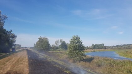 Ostrów Mazowiecka - Do pożaru traw doszło w miejscowości Kielczew w gminie Małki