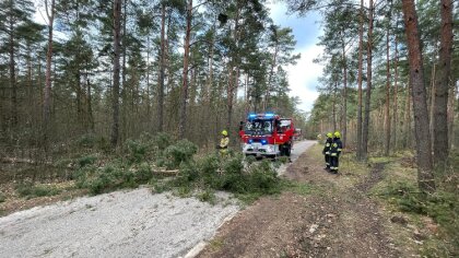 Ostrów Mazowiecka - W miniony weekend do powiatu ostrowskiego przybyły bardzo si