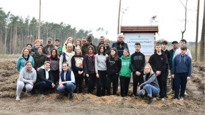 Ostrów Mazowiecka - Gmina Brok przyłączyła się do inicjatywy sadzenia Lasów Pami