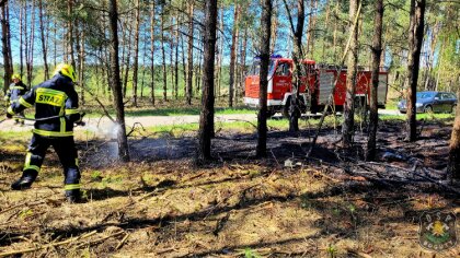 Ostrów Mazowiecka - Ochotnicza Straż Pożarna w Bogutach Piankach została wezwana