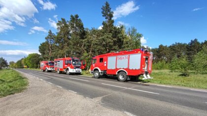 Ostrów Mazowiecka - Pożar lasu w Godlewie Wielkim jest przypomnieniem, jak ważną