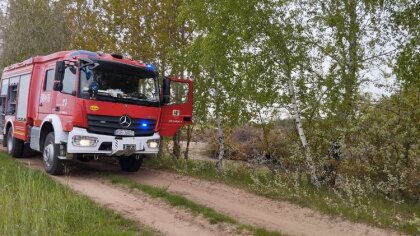 Ostrów Mazowiecka - Pożar na wysypisku odpadów w miejscowości Uścianek Wielki st