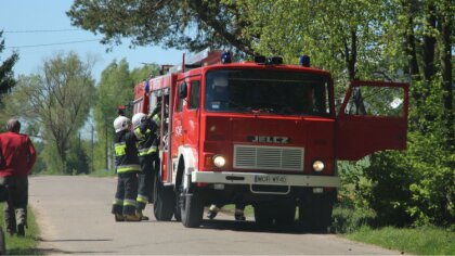 Ostrów Mazowiecka - W miejscowości Jelenie doszło do pożaru lasu. Strażacy wciąż