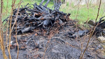 Ostrów Mazowiecka - Pożar karp drewnianych może wydawać się z pozoru niewielkim 