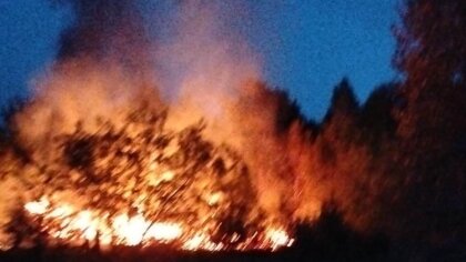 Ostrów Mazowiecka - W ostatnim czasie, na terenie powiatu ostrowskiego wciąż doc