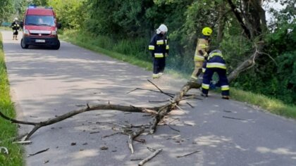 Ostrów Mazowiecka - Funkcjonariusze OSP Andrzejewo zostali wezwani do usunięcia 