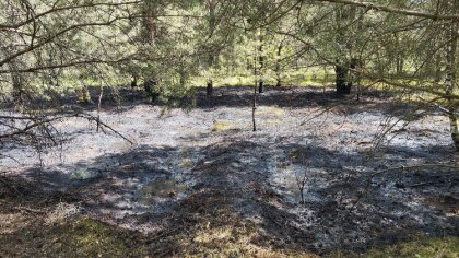 Ostrów Mazowiecka - Ochotnicza Straż Pożarna w Zarębach Kościelnych została wezw